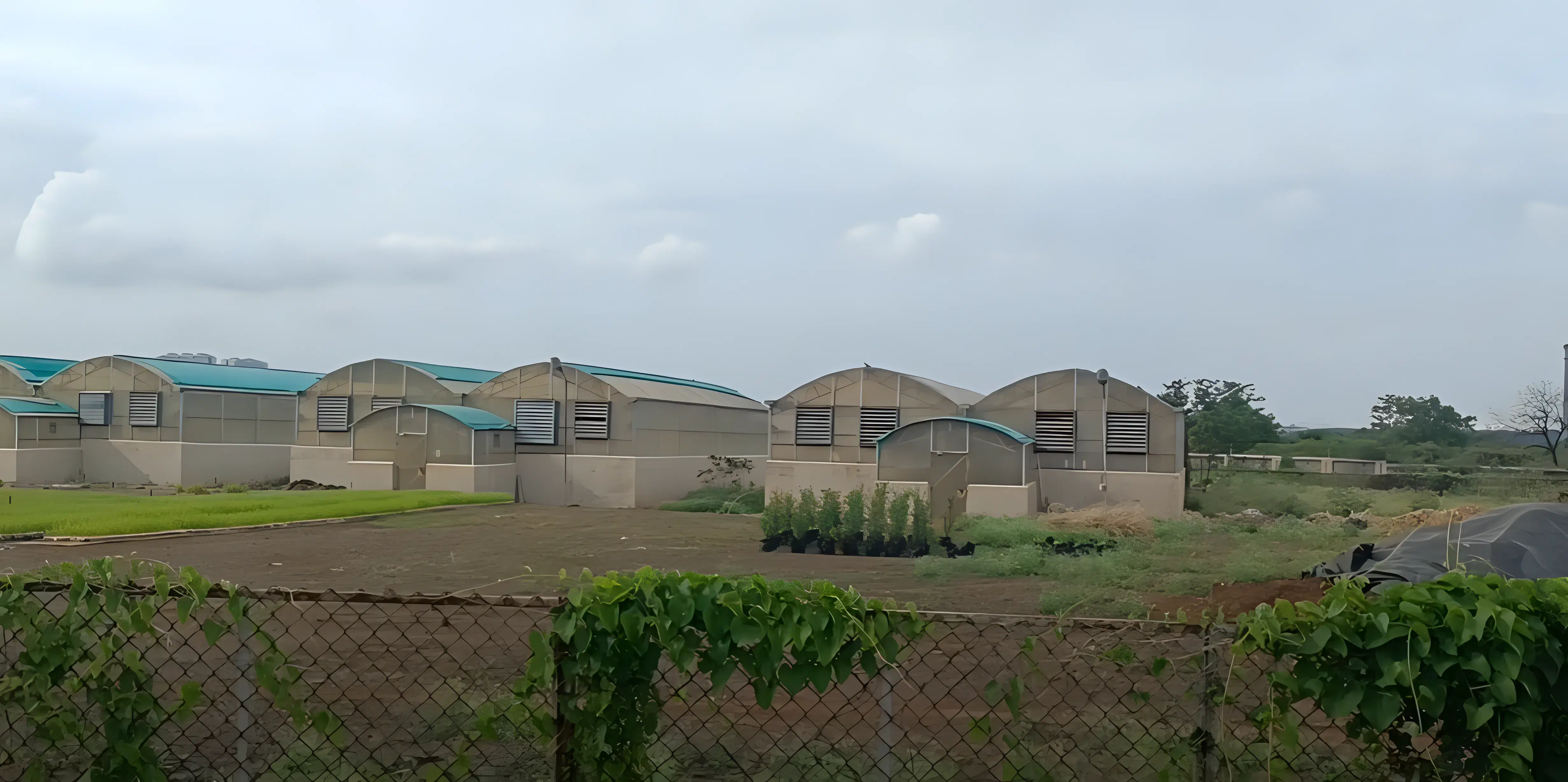 VSI Pune hostel photo 9